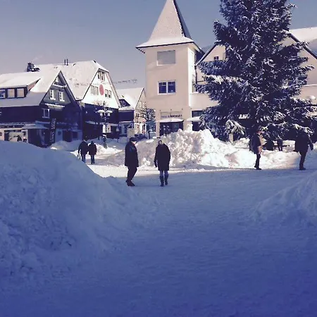 Am Waltenberg Appartement Winterberg